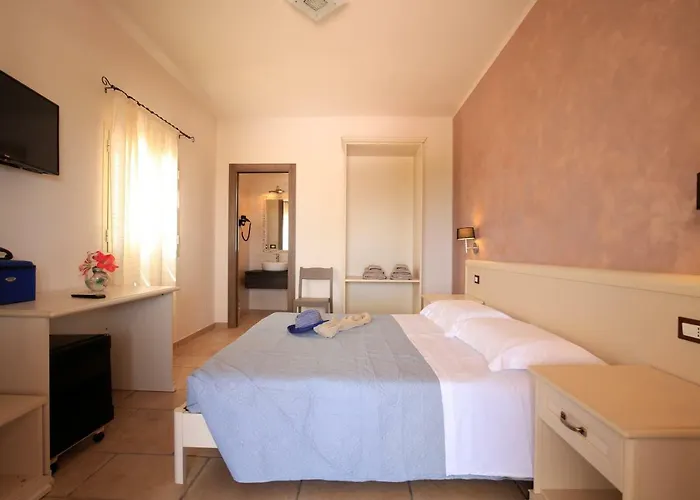 Hibiscus 维耶斯泰