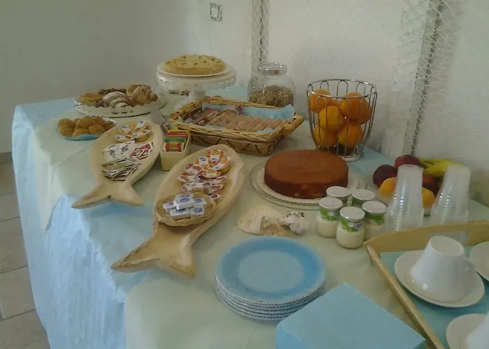 Hibiscus 维耶斯泰